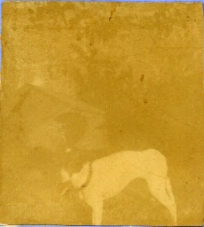 /medias/customer_2/NUMERISATION_2025/45 Fi Collection Pierre Allier/45_Fi_27_jpg_/0_0.jpg